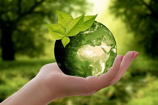 nature-image